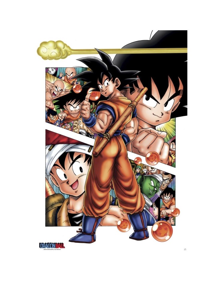 Dragon Ball Son Goku Story 61 x 91.5cm Maxi Poster