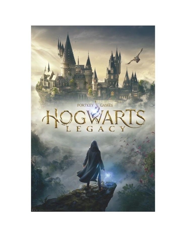 Harry Potter Hogwarts Legacy Key Art 61 x 91.5cm Maxi Poster