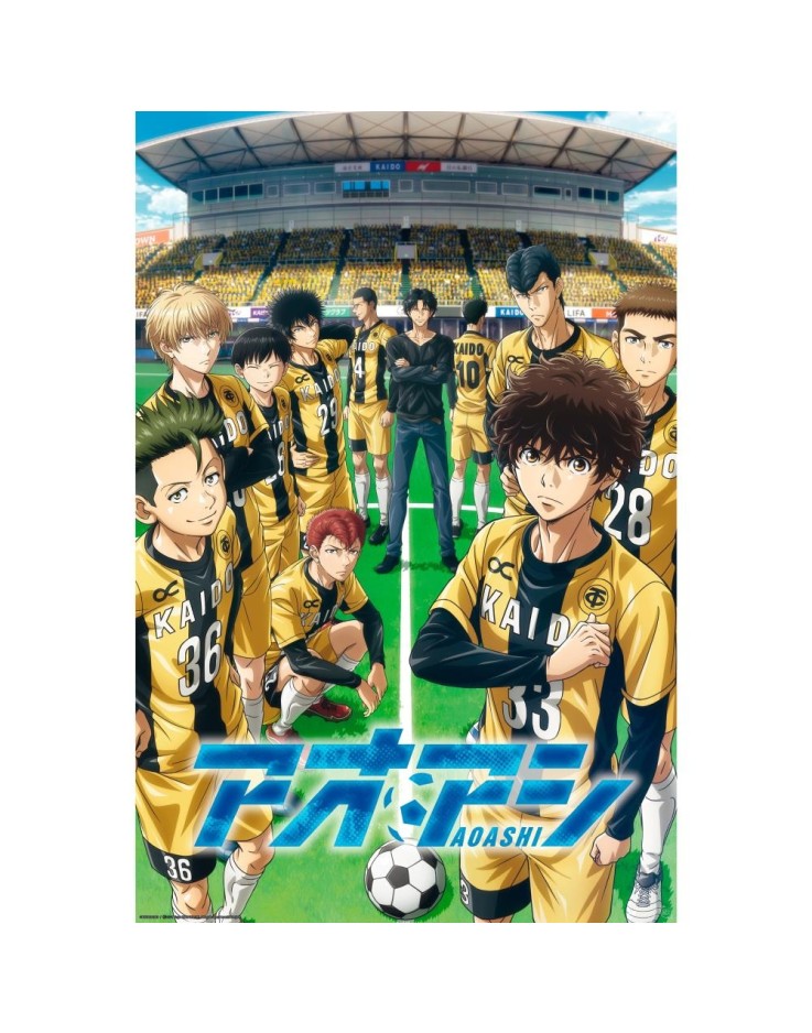 Ao Ashi Esperion FC 61 x 91.5cm Maxi Poster