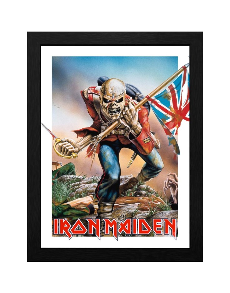Iron Maiden Trooper Eddie 30 x 40cm Framed Collector Print