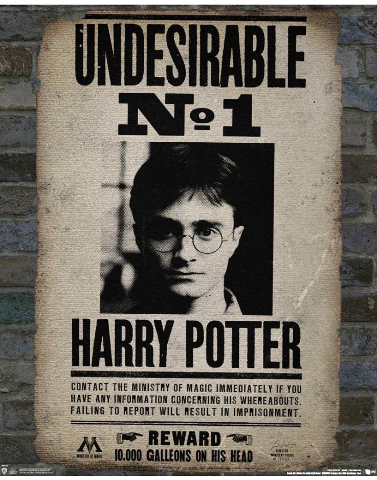 Harry Potter Undesirable No 1 Mini Poster