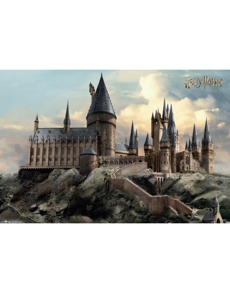 Harry Potter Hogwarts Day 61 x 91.5cm Maxi Poster