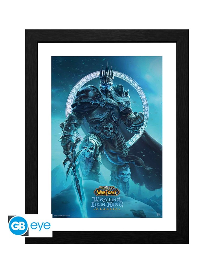 World of Warcraft Lich King 30 x 40cm Framed Collector Print