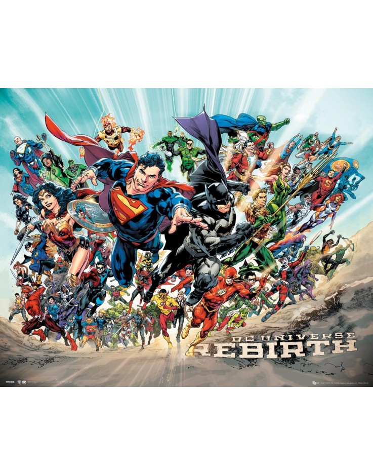 DC Universe Rebirth Mini Poster