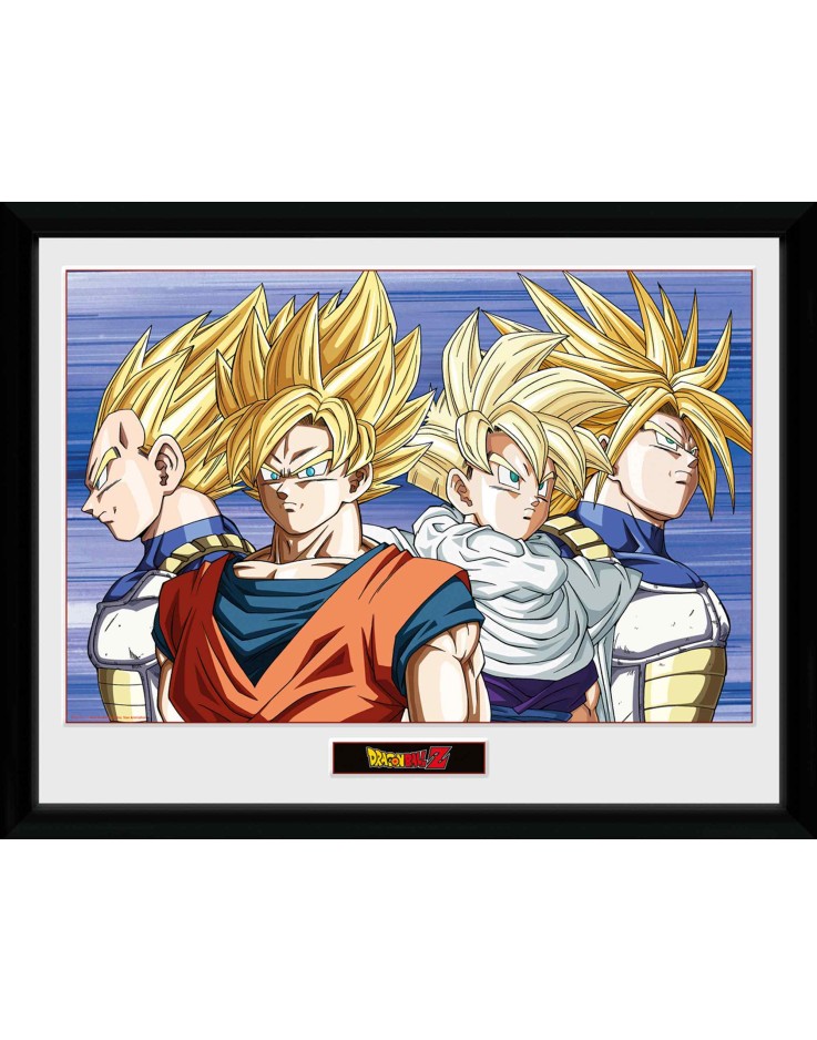 Dragon Ball Z Group Framed Collector Print