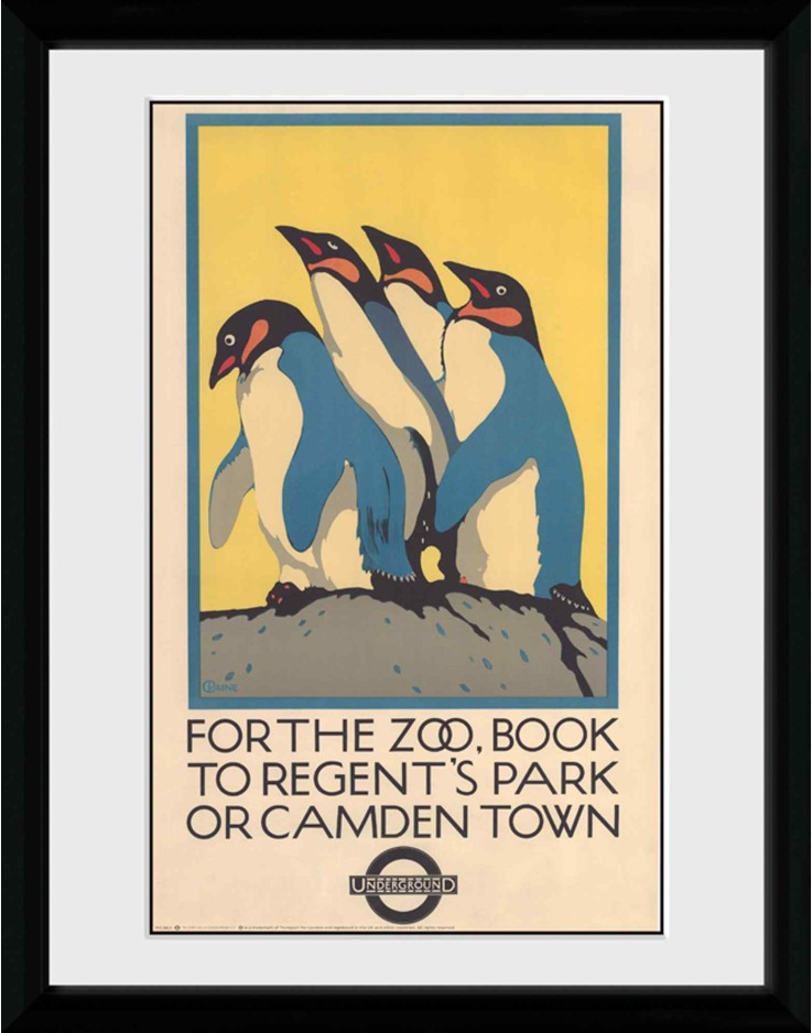 Transport For London Zoo 30 x 40cm Framed Collector Print