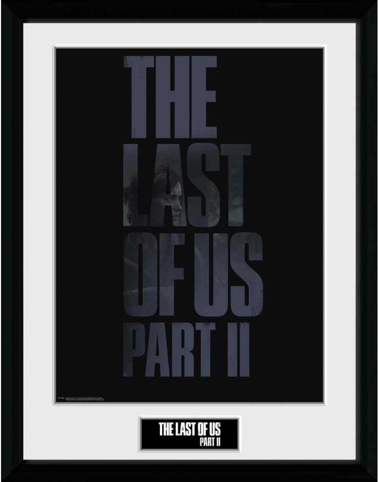 The Last Of Us Logo 30 x 40cm Framed Collector Print