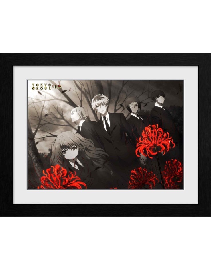 Tokyo Ghoul Red Flowers  30 x 40cm Framed Collector Print