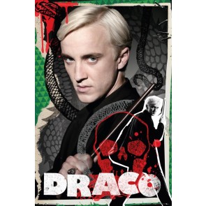 Harry Potter Draco 61 x 91.5cm Maxi Poster