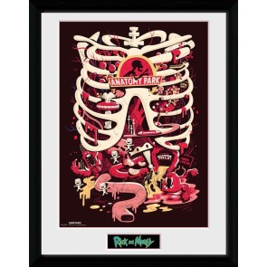Rick & Morty Anatomy Park 30 x 40cm Framed Collector Print
