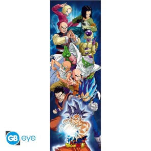 Dragon Ball Super Group 53 x 158cm Door Poster