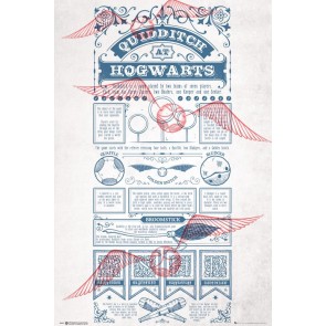 Harry Potter Quidditch at Hogwarts 61 x 91.5cm Maxi Poster
