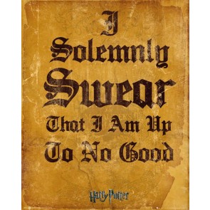 Harry Potter I Solemnly Swear Mini Poster