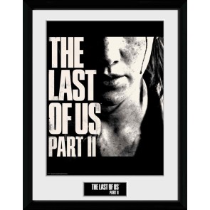 The Last Of Us Face 30 x 40cm Framed Collector Print