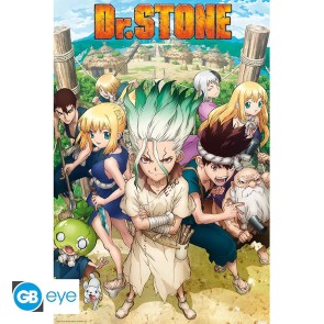 Dr. Stone Group 61 x 91.5cm Maxi Poster