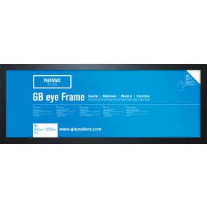 GB Eye Contemporary Wooden Black Picture Frame - 33 x 95cm
