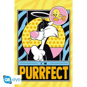 Looney Tunes Tweety & Slyvester 61 x 91.5cm Maxi Poster