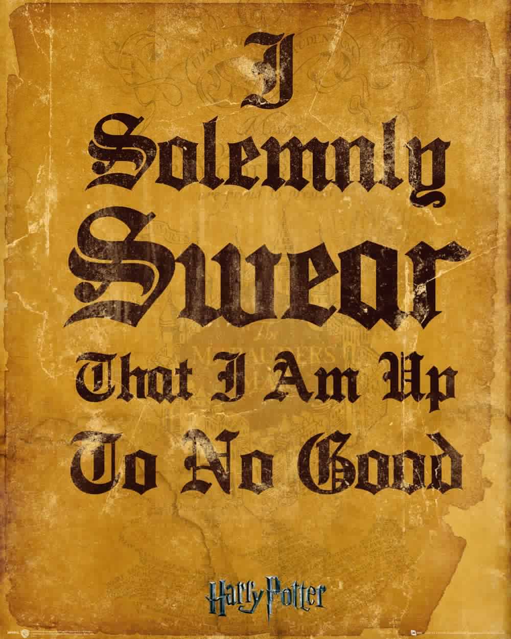 Harry Potter I Solomnly Swear Mini Poster