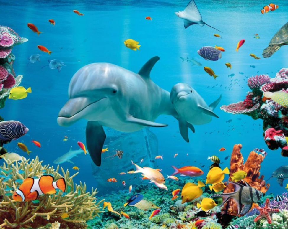 marine life poster